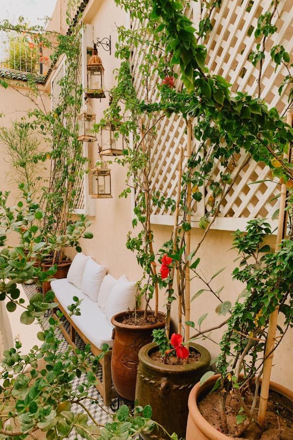Riad Maison 24 Marrakesh Ngoại thất bức ảnh
